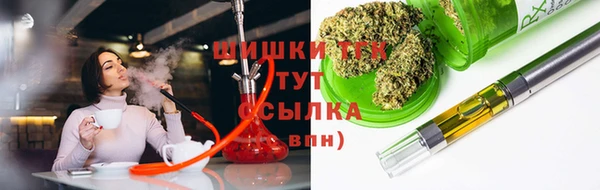 гидра Кинешма