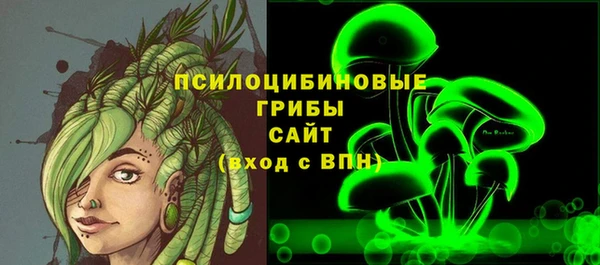 гидропоника Каменногорск