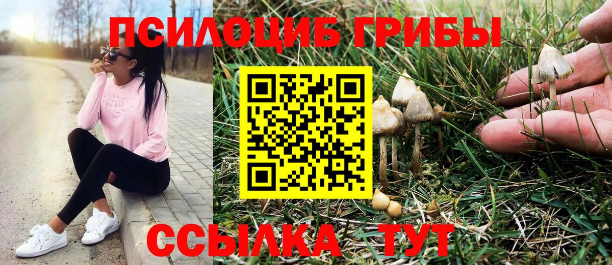 Галлюциногенные грибы GOLDEN TEACHER  Галлюциногенные грибы ЛСД  Вход с VPN  Карпинск 