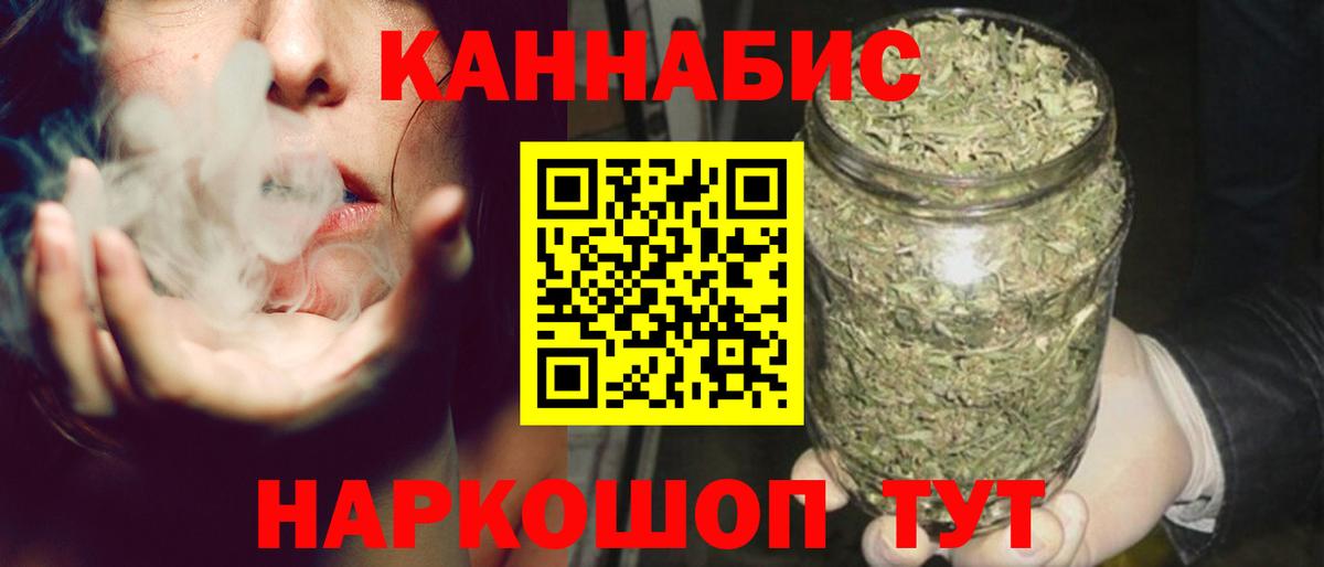 Конопля сатива Карпинск
